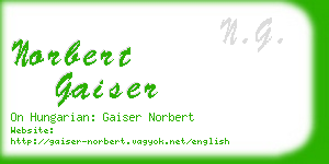 norbert gaiser business card
